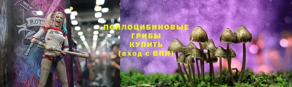 МДМА Новозыбков