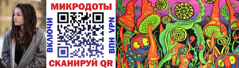 Псилоцибиновые грибы Psilocybe  Игарка 